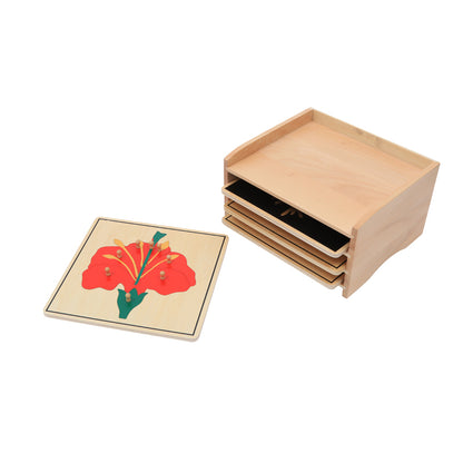 Botany Puzzle Cabinet (3 Puzzles Included)