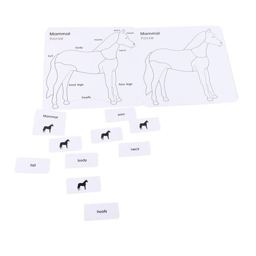 Parts of the Horse Cards