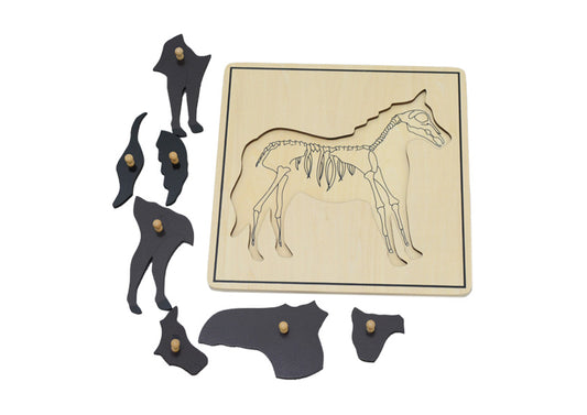 Horse & Skeleton Puzzle