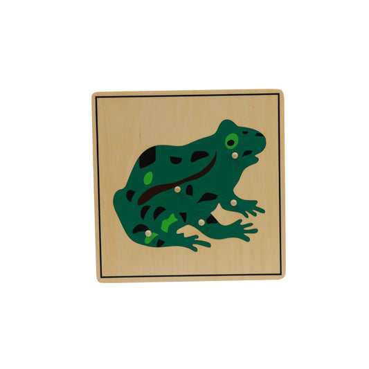 Frog Puzzle