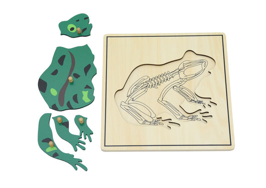 Frog & Skeleton Puzzle