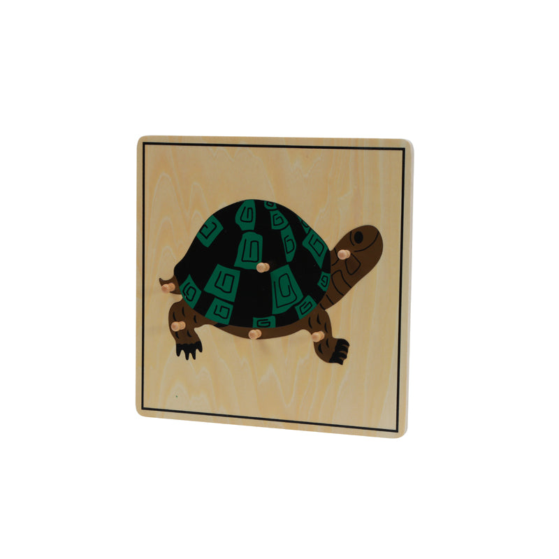 Turtle Puzzle