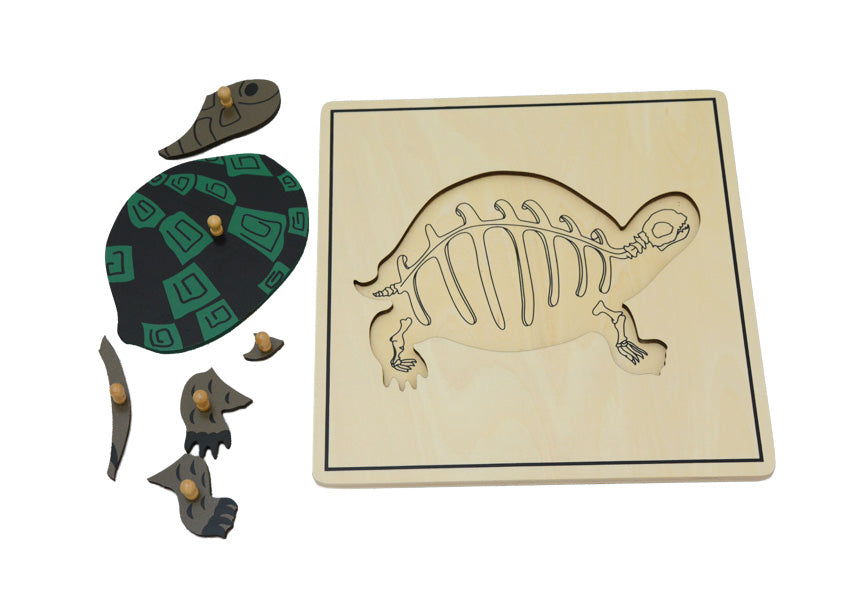 Turtle & Skeleton Puzzle