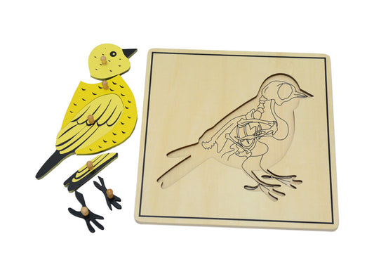 Bird & Skeleton Puzzle