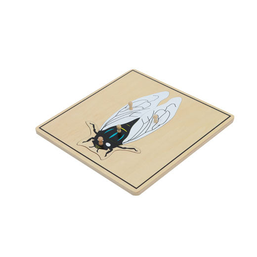 Fly Puzzle