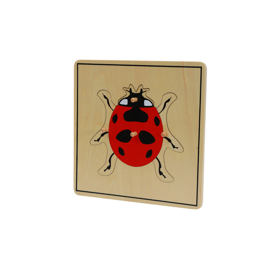 Ladybug Puzzle