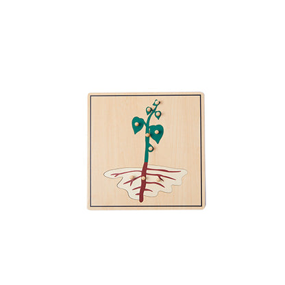 Germinating Seeds Puzzle(4PCS)