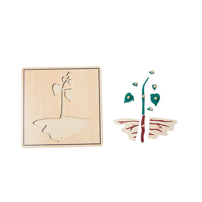 Germinating Seeds Puzzle(4PCS)