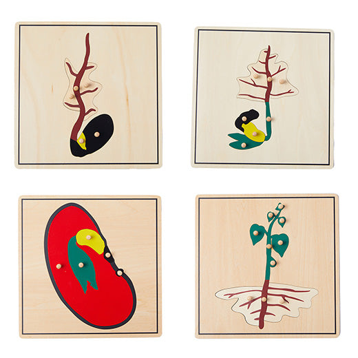 Germinating Seeds Puzzle(4PCS)