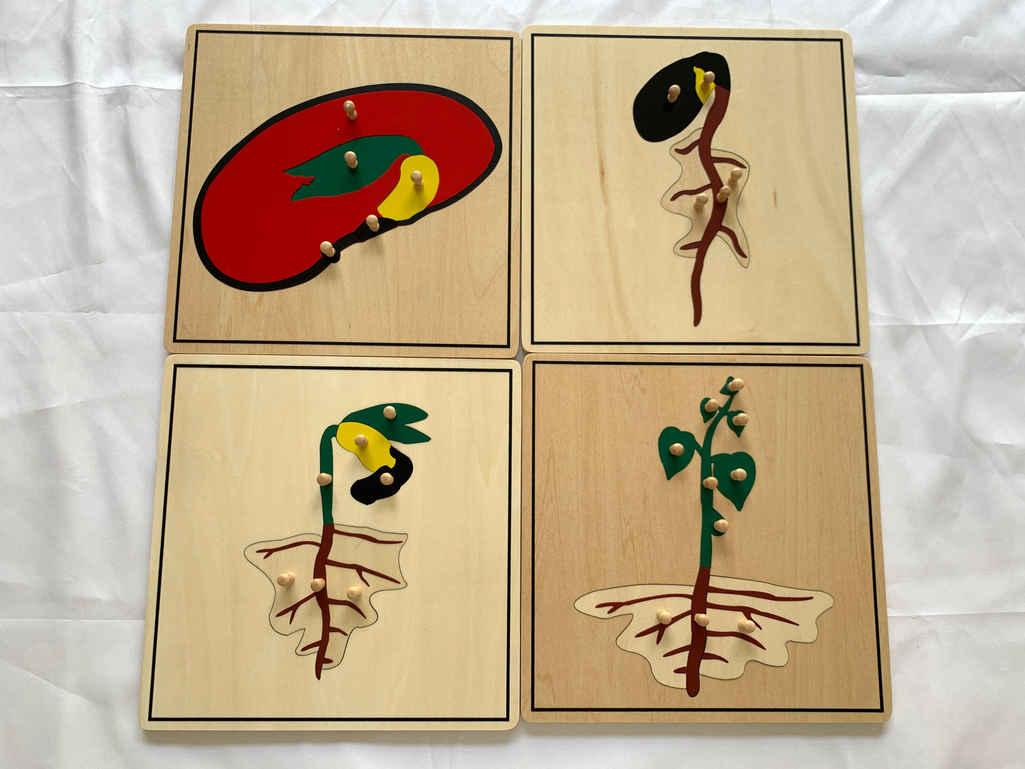 Germinating Seeds Puzzle(4PCS)