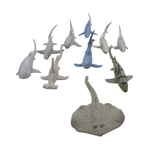 Shark-10pcs