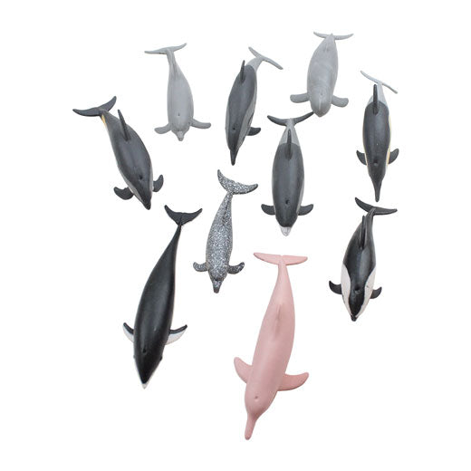 Various dolphins